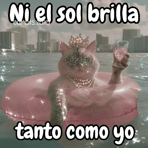 ✨️Tiktok Gatos Brillantes 🐈✨️