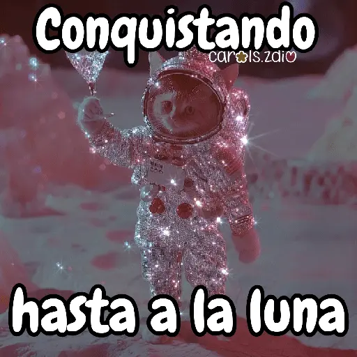 ✨️Tiktok Gatos Brillantes 🐈✨️