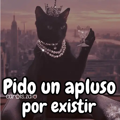 ✨️Tiktok Gatos Brillantes 🐈✨️