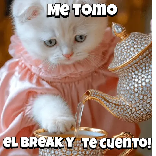 Animalitos virales  TIKTOK✨🐾