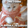 Animalitos virales  TIKTOK✨🐾