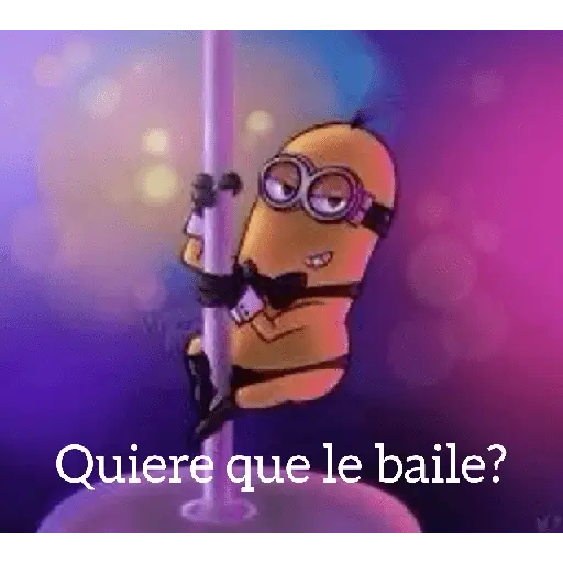Te quiero conquistar 😏🔥💐