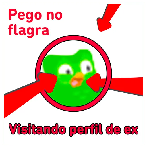 Memes do Duo