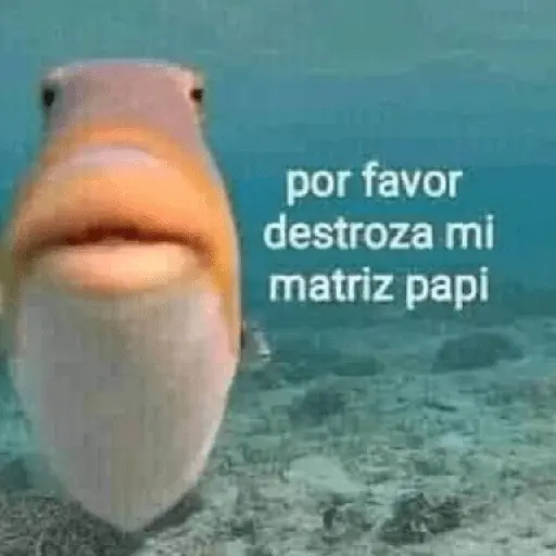 Memes calientes 🥵🔥