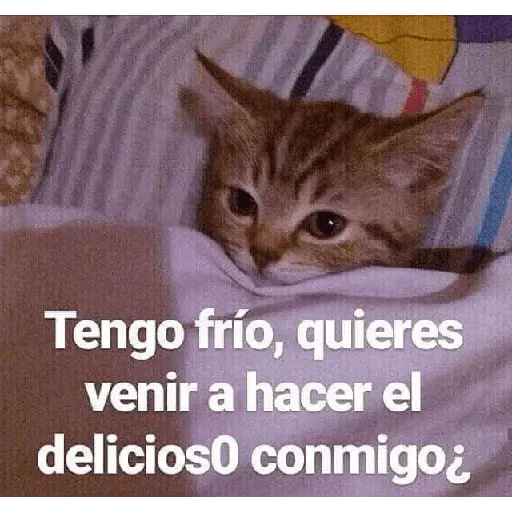 Memes calientes 🥵🔥