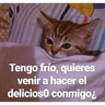 tray-icon