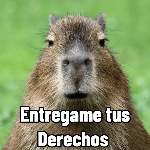 Capibaras con Frases
