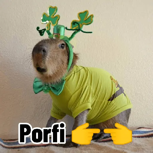 Capibaras con Frases