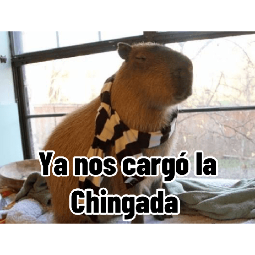 Capibaras con Frases preview