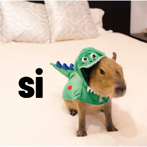 Capibaras con Frases
