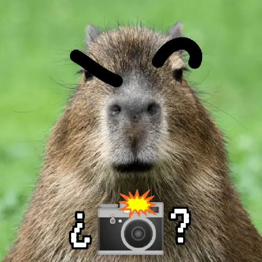 Capibaras con Frases