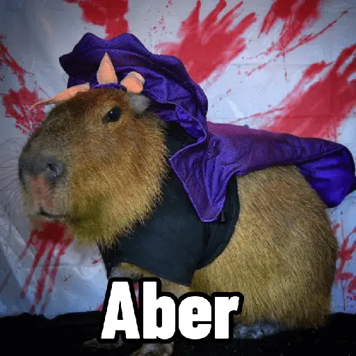 Capibaras con Frases