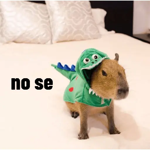 Capibaras con Frases