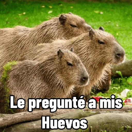 Capibaras con Frases