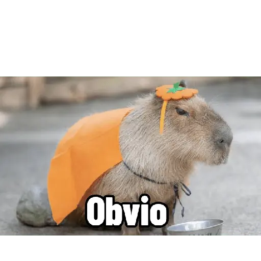 Capibaras con Frases