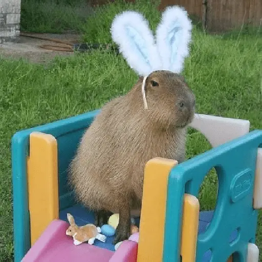 capibaras
