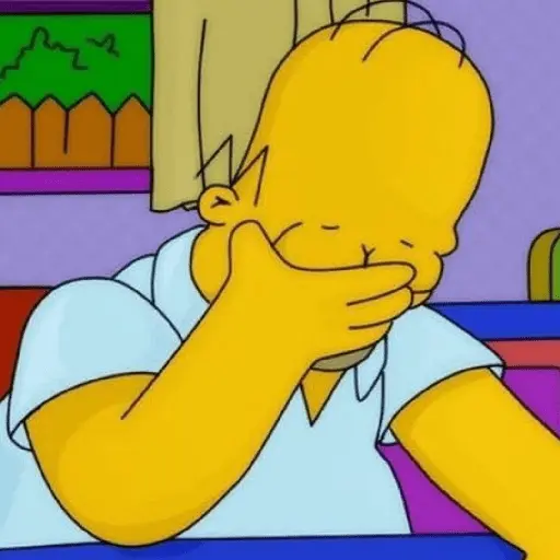 Homer Simpson 😎