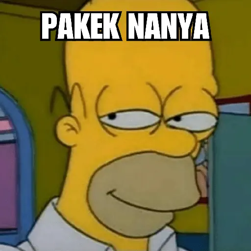 Homer Simpson 😎