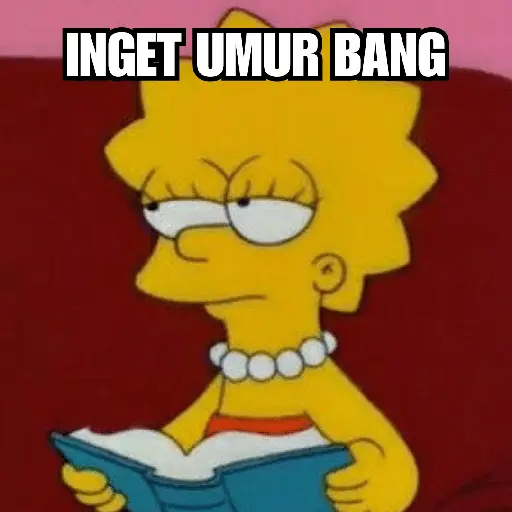 Homer Simpson 😎