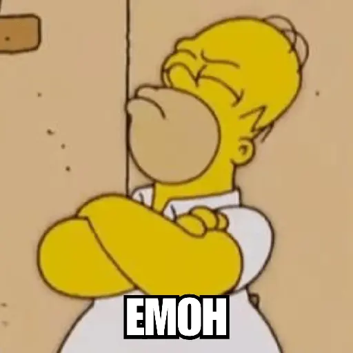 Homer Simpson 😎