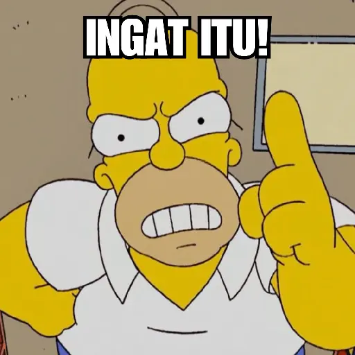 Homer Simpson 😎