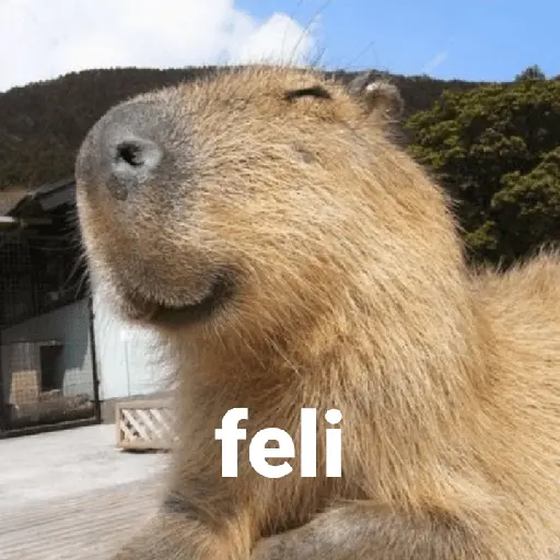Capibara