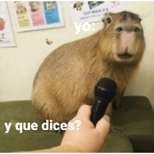 Capibara