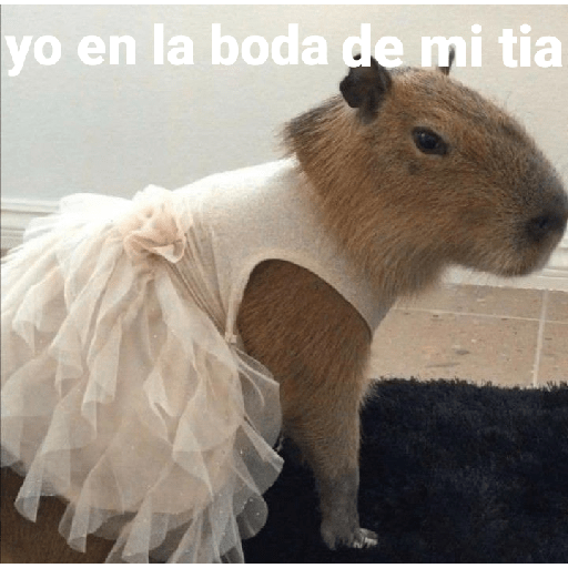 Capibara preview