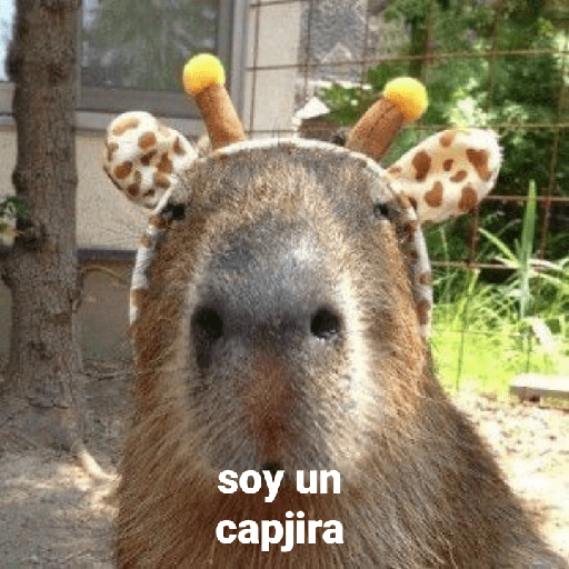 Capibara preview