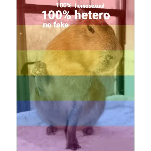 Capibara