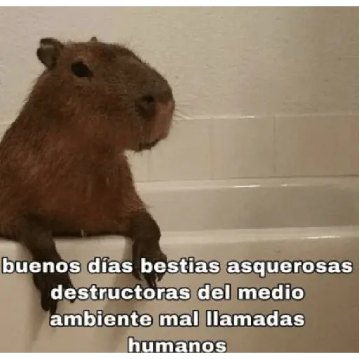 Capibara