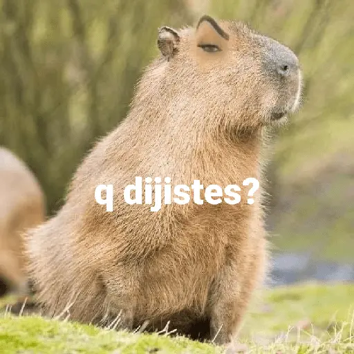 Capibara