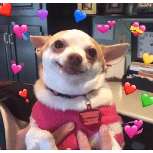 Demonstre seu amor ❤️🥰