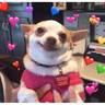 Demonstre seu amor ❤️🥰