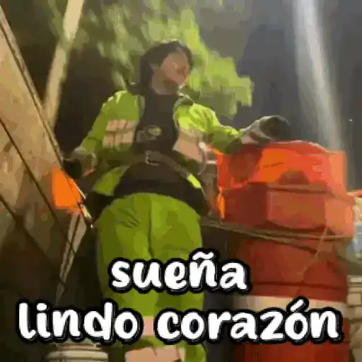 Sueña Lindo corazón ❤️ tiktok  preview