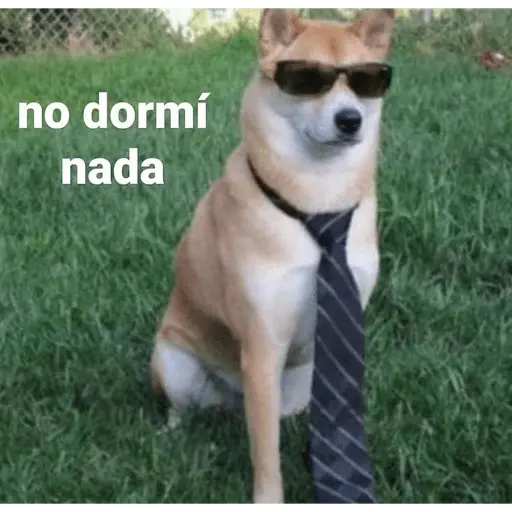 Memes para contestar 3