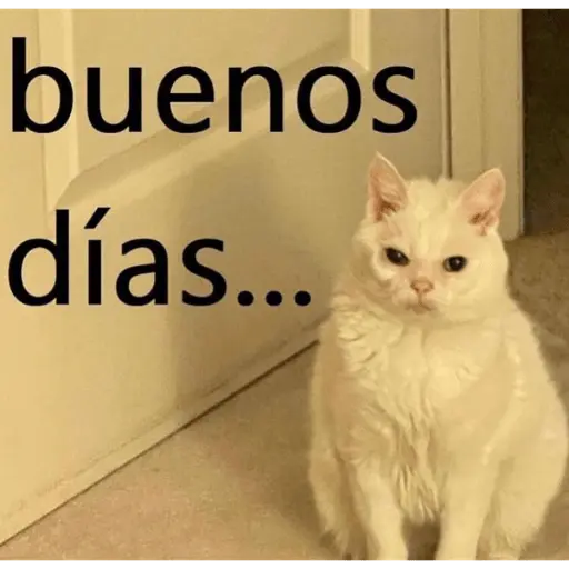 Memes para contestar 3