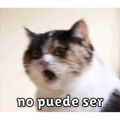 Memes para contestar 3