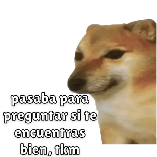 Memes para contestar 3