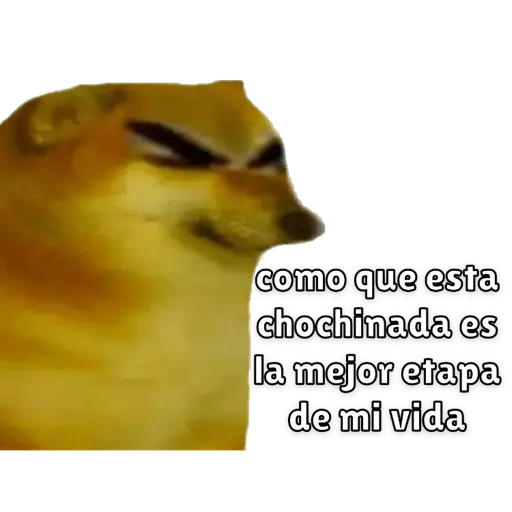Memes para contestar 3