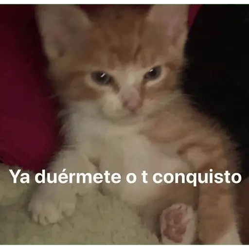 Memes para contestar 3