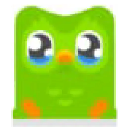 Duolingo