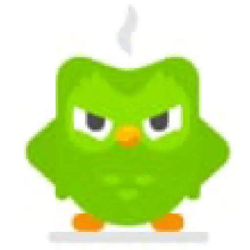 Duolingo