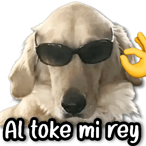 💬 Stickers de Todo #①② 💬
