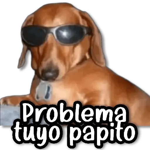 💬 Stickers de Todo #①② 💬