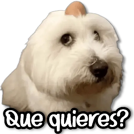 💬 Stickers de Todo #①② 💬