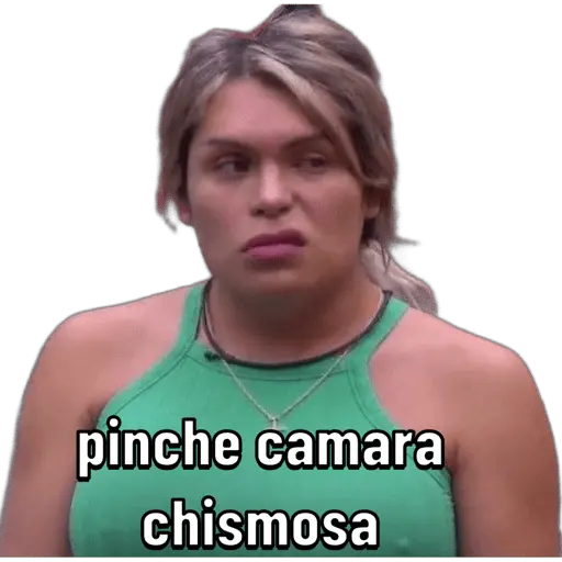 Wendy tu patrona 🩷✨