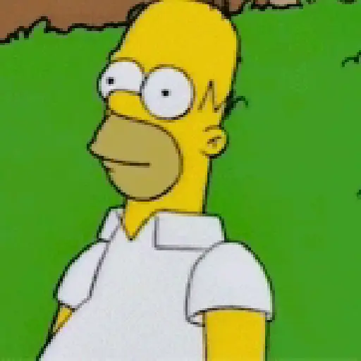 The Simpsons GIFs