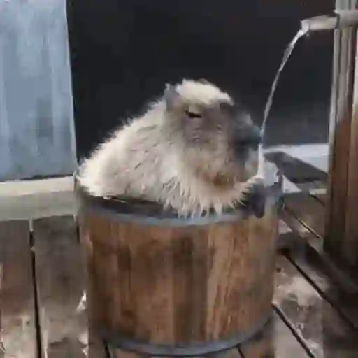 🍉 Capibaras MOV. 🍉