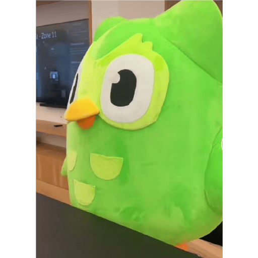 duolingo preview